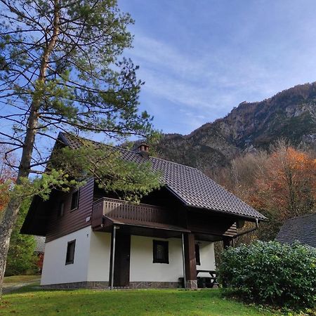 Apartmaji Zupancic Bohinj Ngoại thất bức ảnh