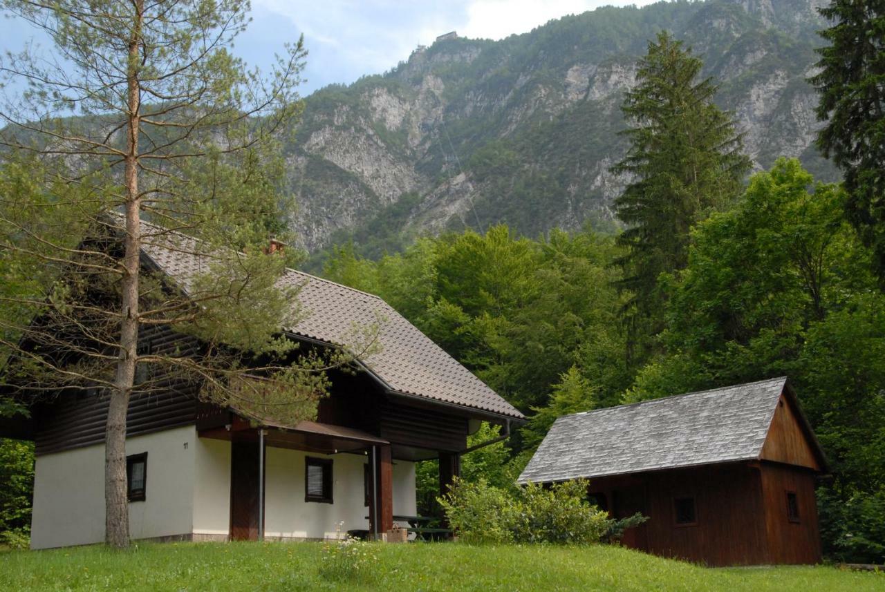 Apartmaji Zupancic Bohinj Ngoại thất bức ảnh